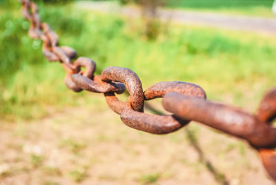 Old rusty chain on the field on ground background