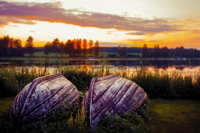 Close-up of field against sky at sunset