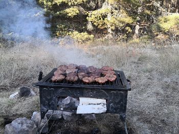 Fire on barbecue grill