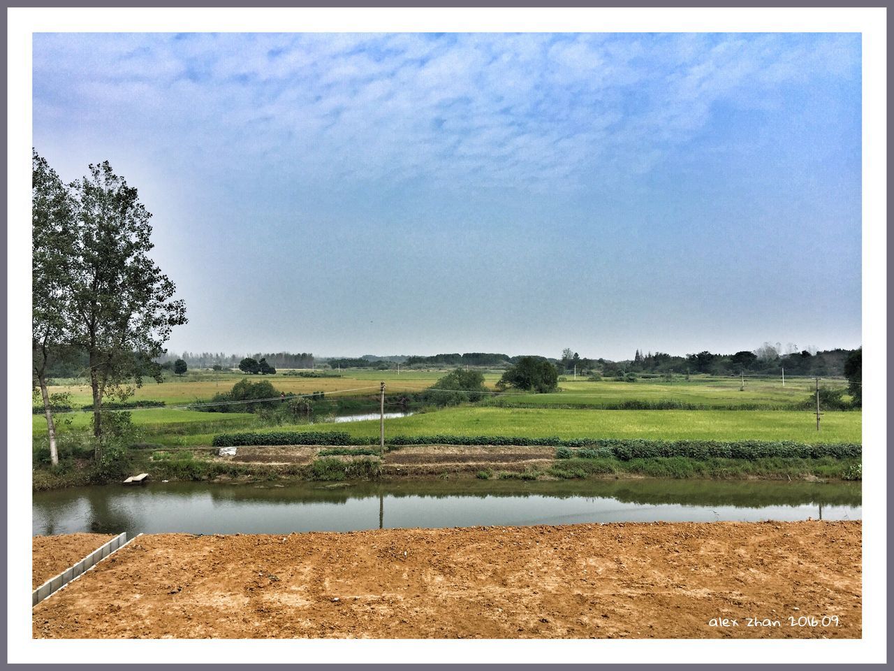 auto post production filter, tree, water, field, transfer print, agriculture, rural scene, tranquil scene, tranquility, sky, beauty in nature, growth, scenics, nature, cultivated land, farm, crop, day, lawn, outdoors, green color, no people, cloud - sky, non-urban scene, tourism