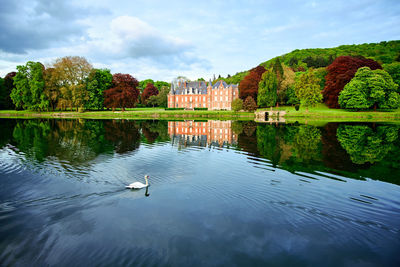 Swan swimming on lake against cloudy sky