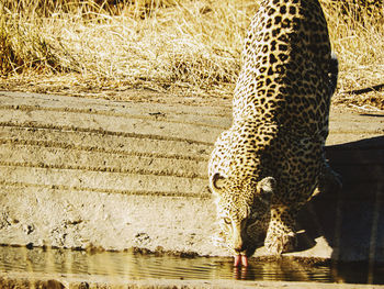 View of a drinking water