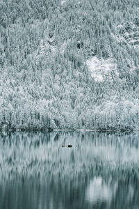 Scenic view of lake and trees on mountain during winter