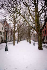 Snow covered footpath amidst trees and buildings during winter