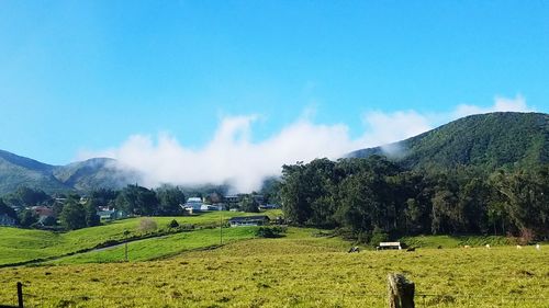 Panoramic view of agricultural field against sky