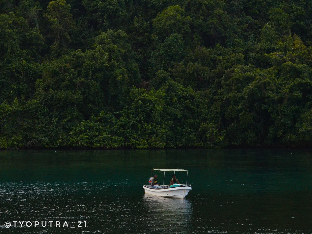 BOATS SAILING IN LAKE AGAINST TREES IN FOREST