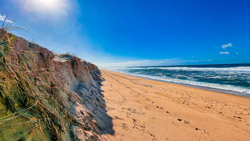 Scenic view of beach against blue sky