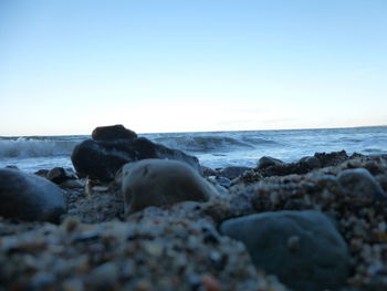 Scenic view of sea against clear sky