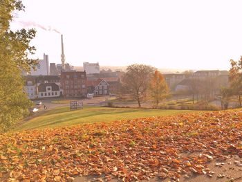 Autumn leaves on field by buildings against clear sky