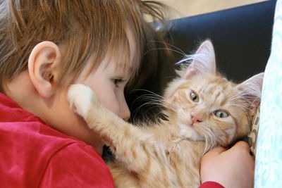 Portrait of girl with cat