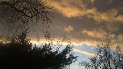 Low angle view of silhouette trees against sky at sunset