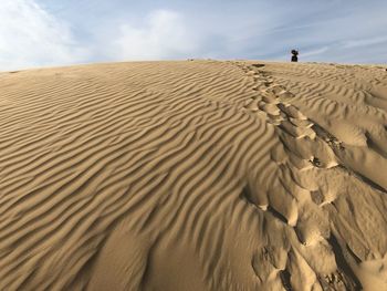 Sand dunes in desert against sky