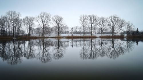 Reflection of trees in lake against sky