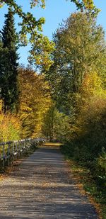 Road amidst trees against sky during autumn