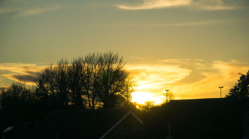 Silhouette trees and buildings against sky during sunset