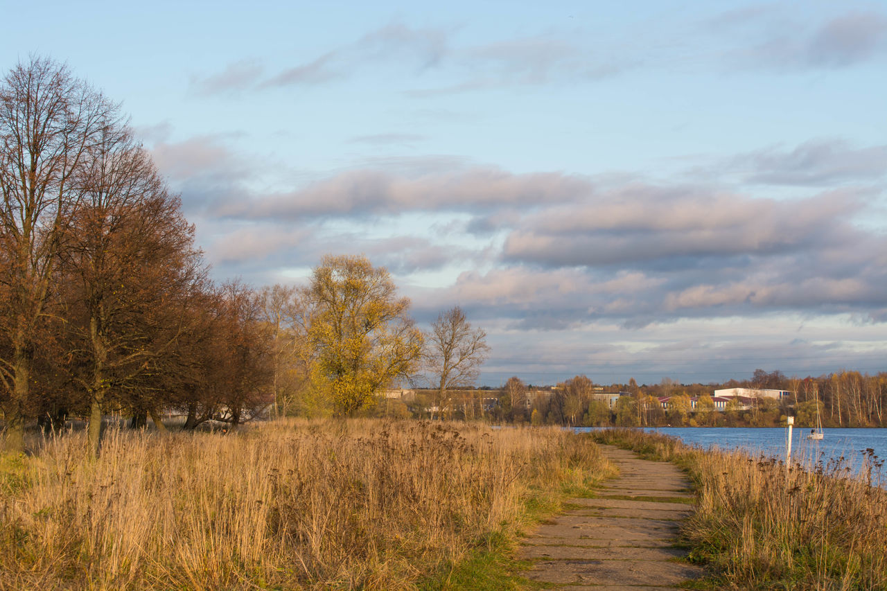 SCENIC VIEW OF LAND AND TREES AGAINST SKY