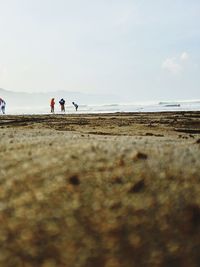 Rear view of people walking on beach against sky