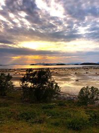 Scenic view of field against sky during sunset