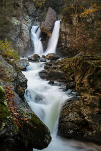 Scenic view of waterfall in forest