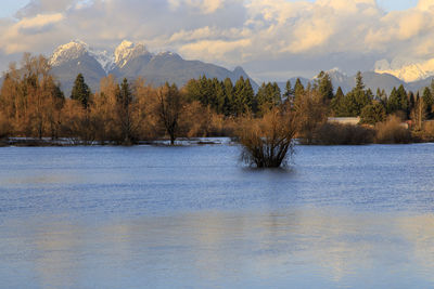 Scenic view of lake by trees against sky