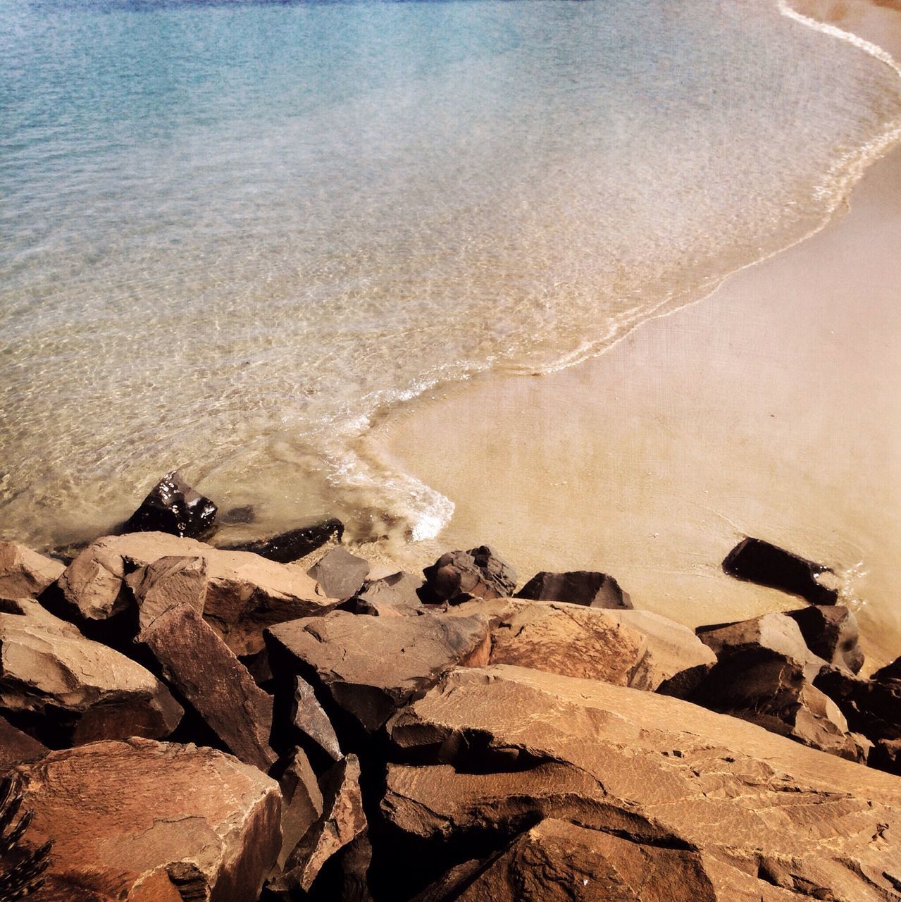 beach, animal themes, sea, sand, shore, water, animals in the wild, one animal, wildlife, rock - object, nature, sunlight, high angle view, outdoors, bird, wave, beauty in nature, day, two animals