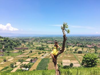 Woman sitting on bare tree against farms