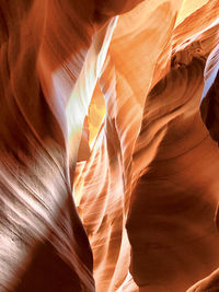 Full frame shot of plants