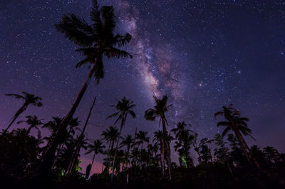 Low angle view of silhouette trees against sky at night