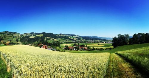Scenic view of agricultural field against sky