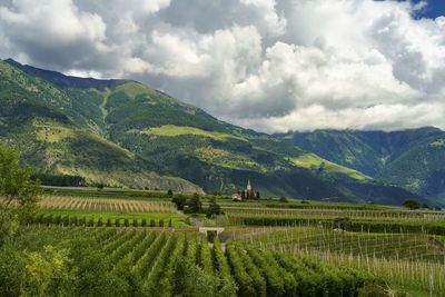 Scenic view of agricultural field against sky