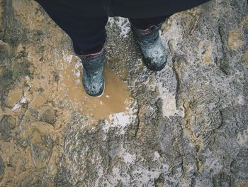 Low section of woman standing in water