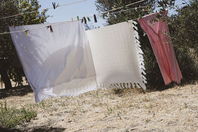 Clothes drying on clothesline