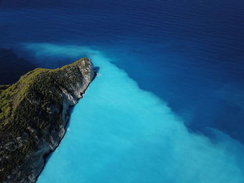 High angle view of an animal on rock