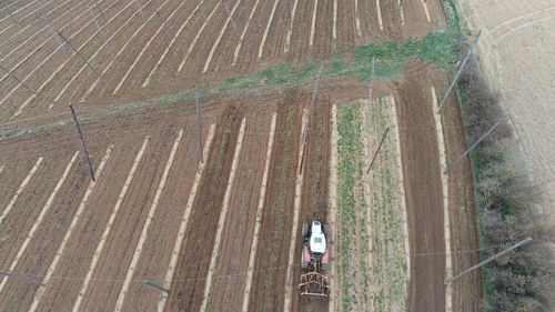 High angle view of agricultural field