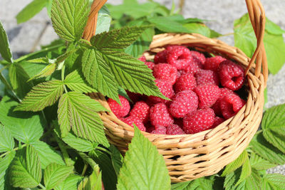 Close-up of strawberries in basket