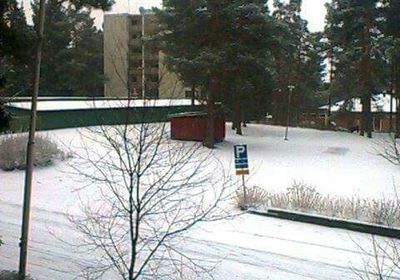 Bare trees against sky