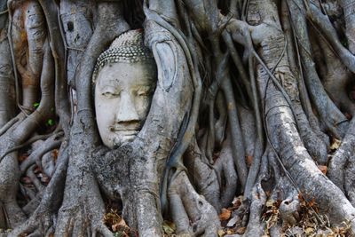 Statue of tree trunk