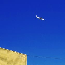Low angle view of seagulls flying in sky