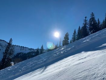 Snow covered land and trees against sky