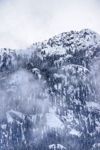 Trees on snow covered landscape against sky