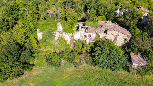 High angle view of trees and buildings