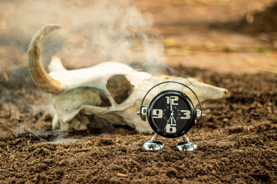 Close-up of a clock on the ground