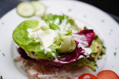 Close-up of meal served in plate