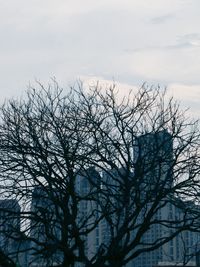 Low angle view of bare tree against sky