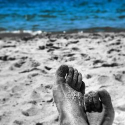 Low section of person standing on shore