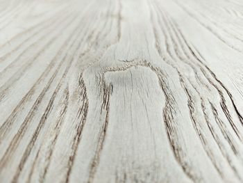 Close-up of old wood texture