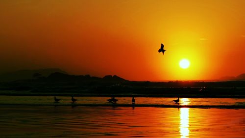 Scenic view of sunset over sea