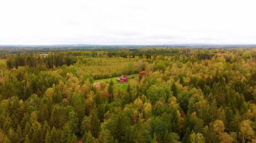 Scenic view of trees growing on field against sky