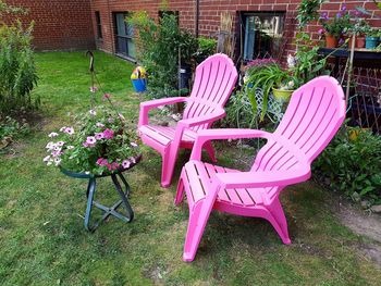 Chairs and pink flowers in yard