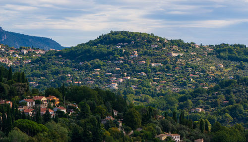 Trees and townscape against sky